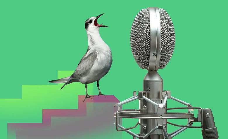 правила успешного выступления на публике