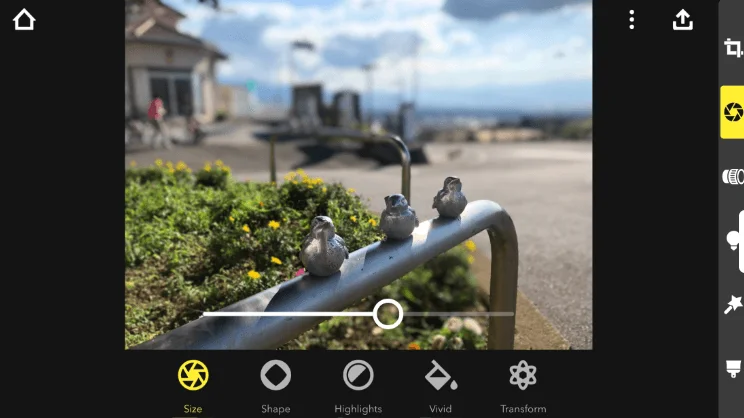 Пример фото с ручной фокусировкой в приложении Focos