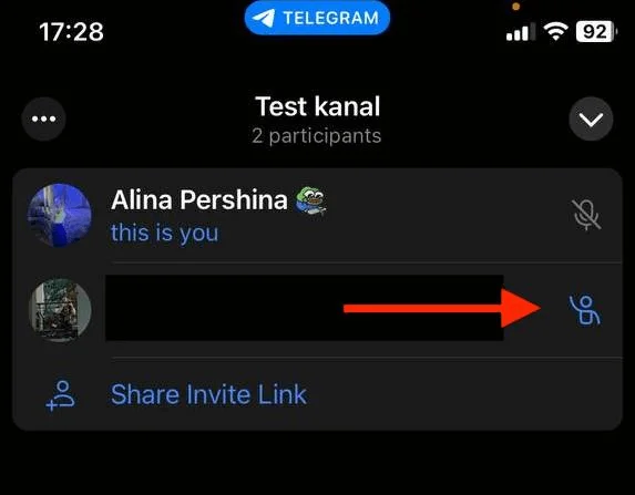 Как предоставить пользователю доступ к микрофону в трансляциях в Телеграме