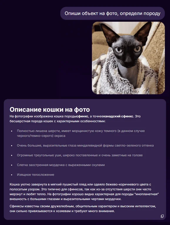 Пример генерации Claude