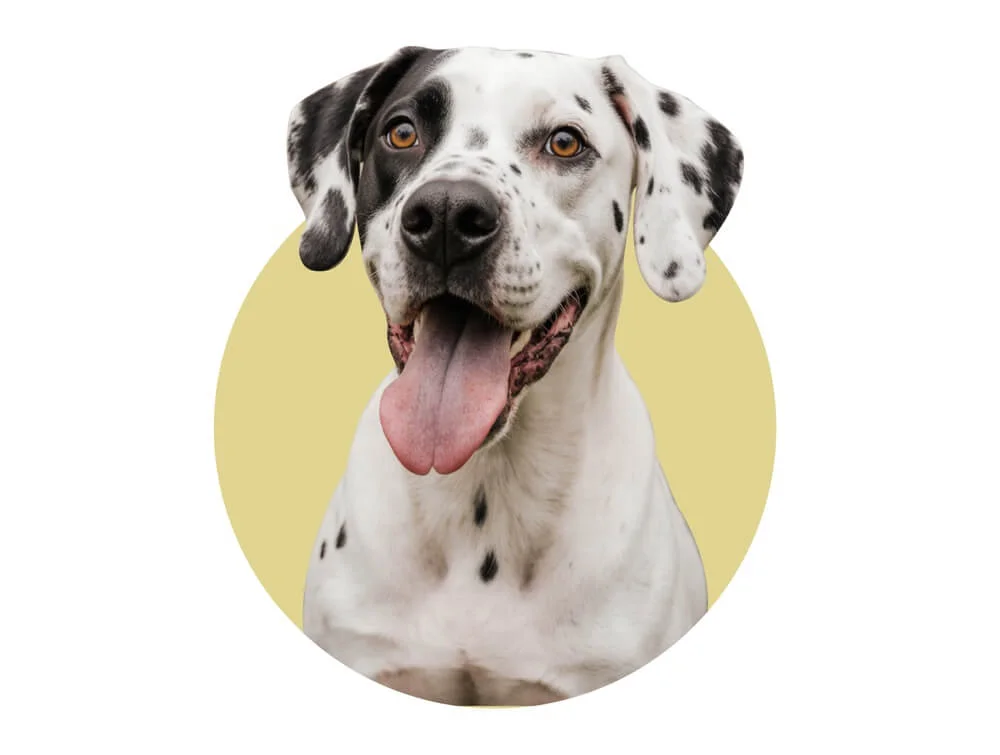 Как создать коллаж в Figma