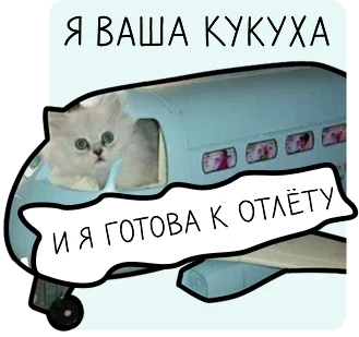 С кукухой будет всё так