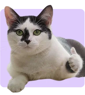 Рассылкам не страшны блокировки