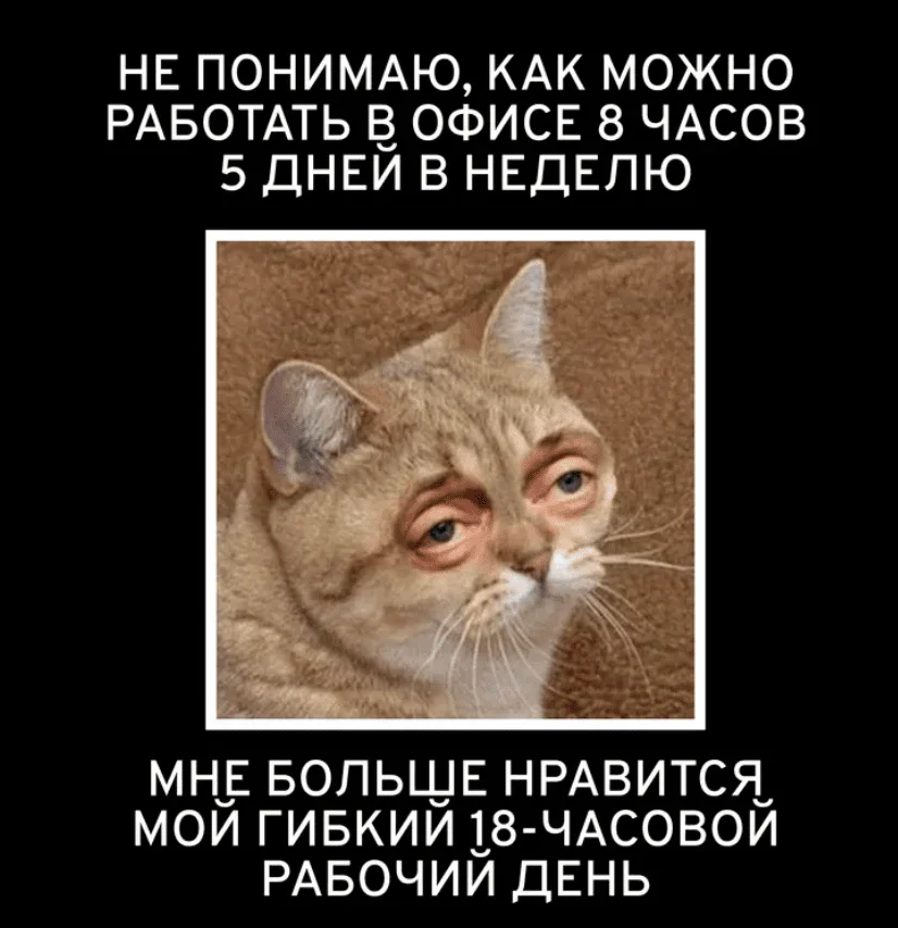 Мем: не понимаю, как можно работать в офисе 8 часов 5 дней в неделю