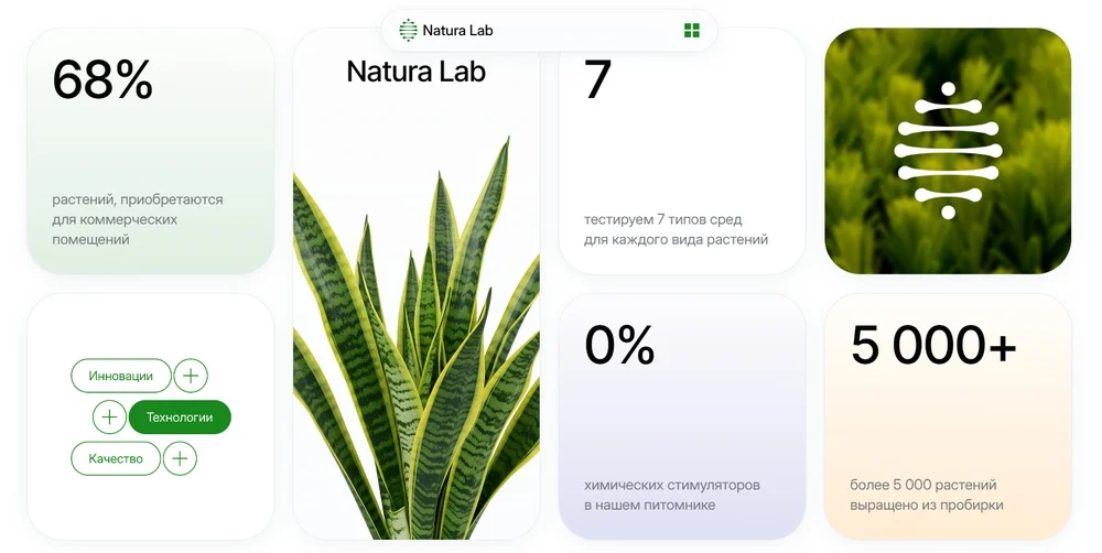 Суперэллипс в ux/ui дизайне на Тильде
