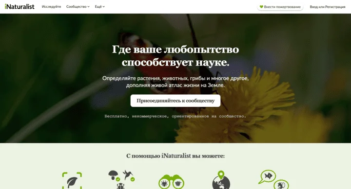 Стартовая страница iNaturalist