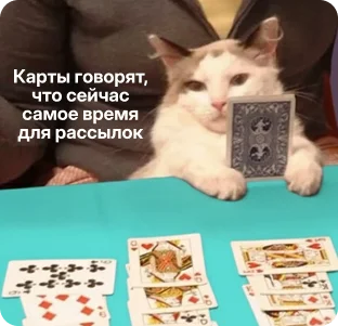 Время запускать рассылки