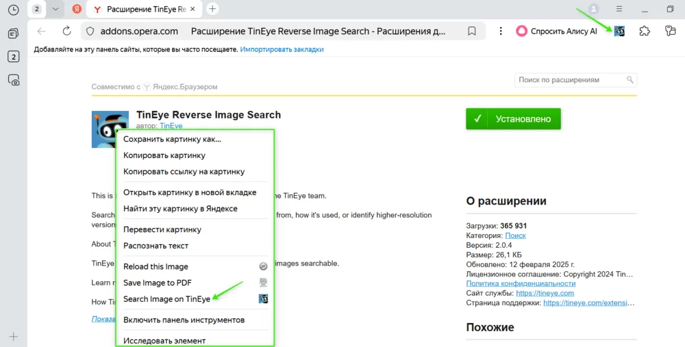 TinEye Reverse Image Search