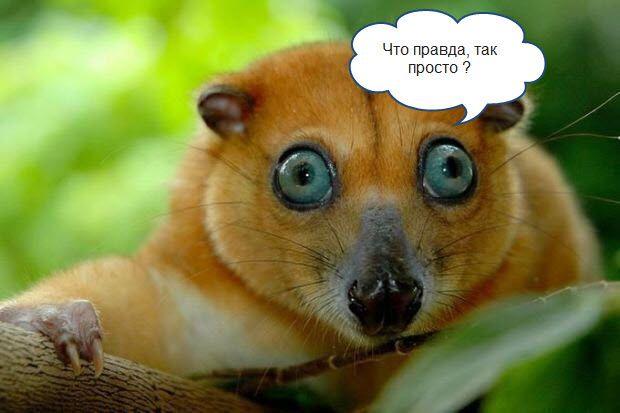 Как сделать рассылку через unisender. Смотреть фото Как сделать рассылку через unisender. Смотреть картинку Как сделать рассылку через unisender. Картинка про Как сделать рассылку через unisender. Фото Как сделать рассылку через unisender