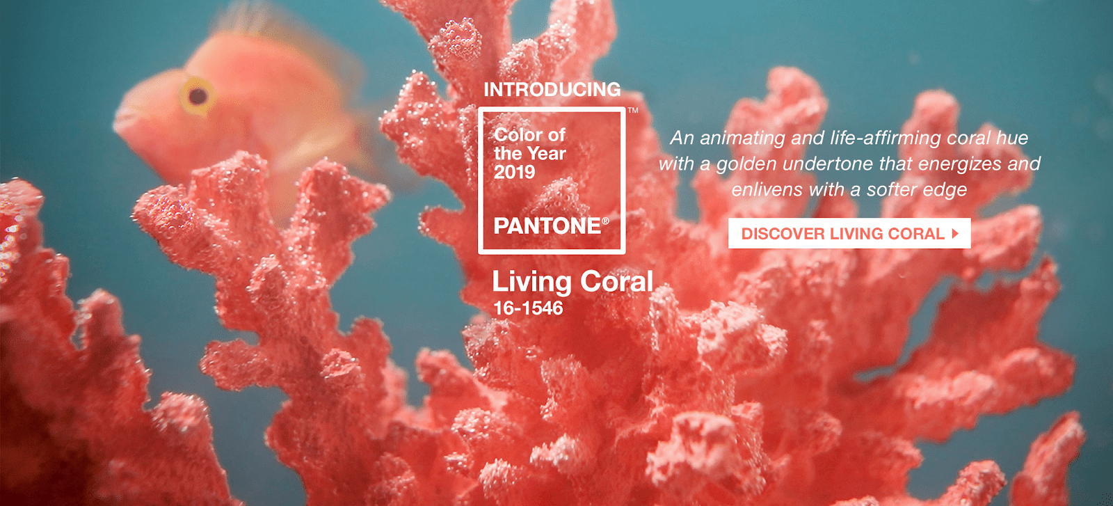 Живой коралл Pantone