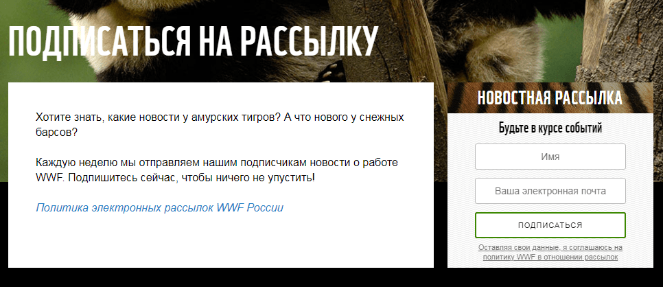 Очень здорово — где ещё о таком расскажут