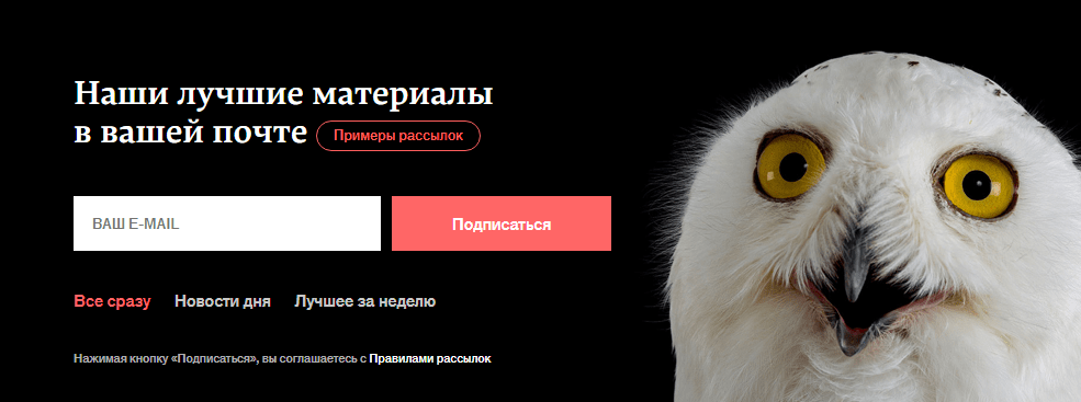 Удобно, что в форме подписки есть выбор, как часто хочется получать письма