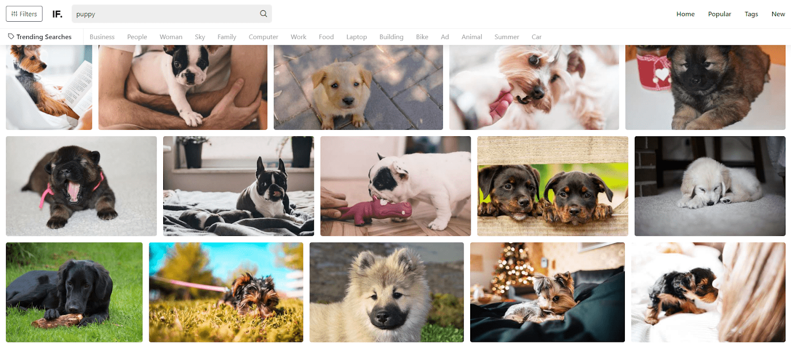 Обратите внимание: по запросу «щенок» выдача отличается от Visualhunt. Поэтому рекомендую посмотреть оба сайта