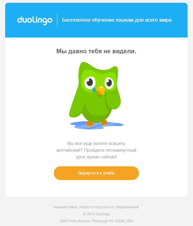 Реактивационное и милое письмо Duolingo