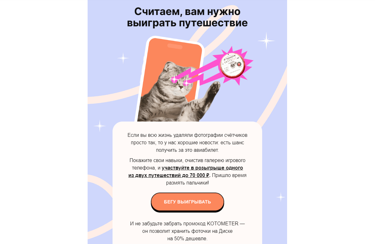Картинка с милым котиком в рассылки сервиса авиабилетов Авиасейлс