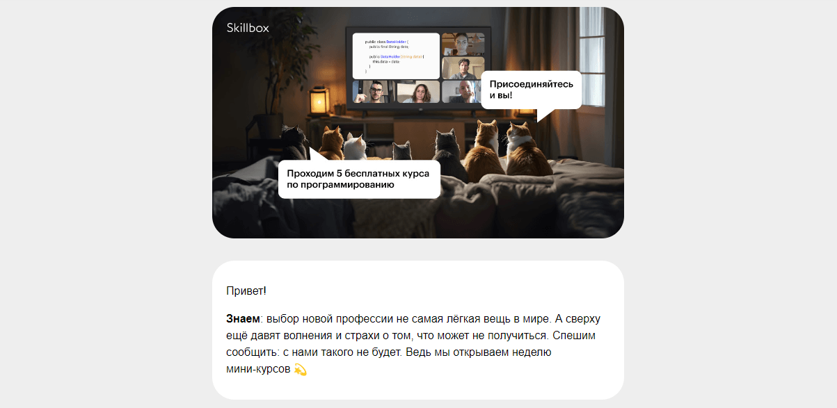 Письмо с котами от онлайн-университета Скилбокс