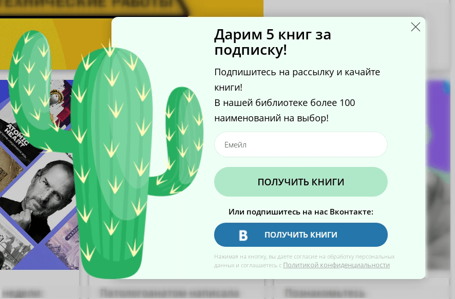 Краткая форма подписки на сайте книжного интернет-магазина + выгодное предложение