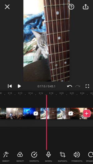 пример работы с видео.