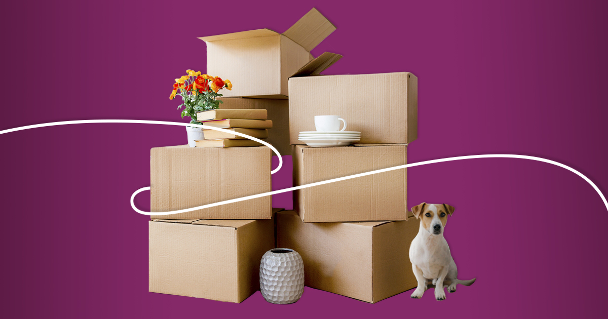 Как Jivo за 5 дней переехали с Amazon SES на Unisender Go 6