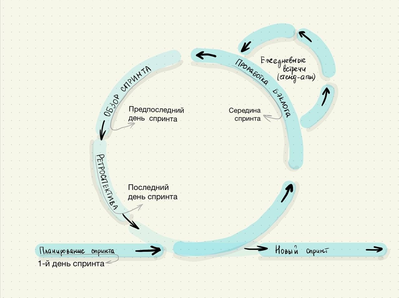 По такому циклу проходят все спринты