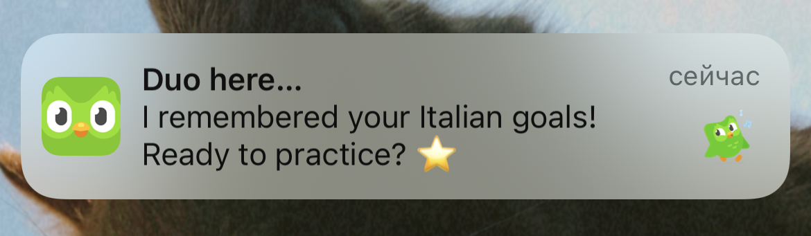 Приложение для изучения языков Duolingo напоминает о том, что пора позаниматься итальянским