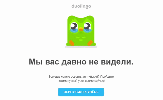 Совёнок Duolingo соскучился по вам