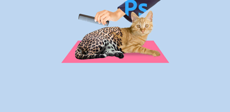 Как работать в Photoshop