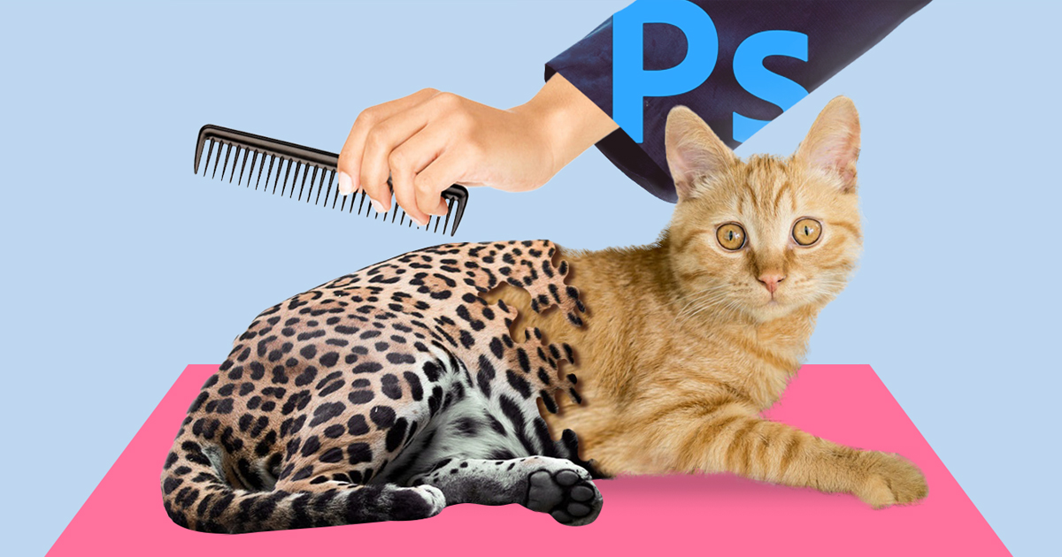 Photoshop