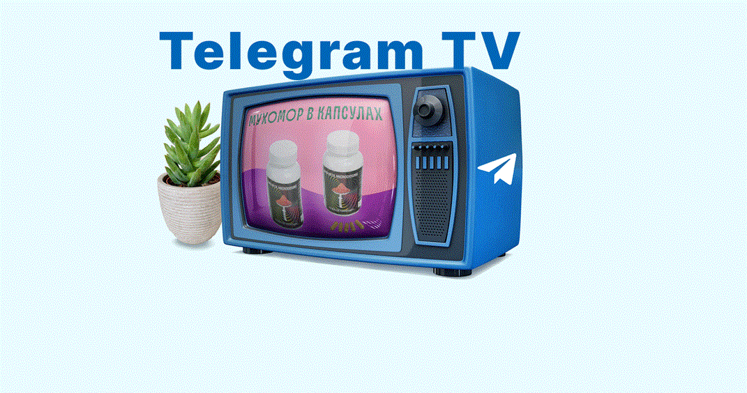 Как набрать первых подписчиков в Telegram 7