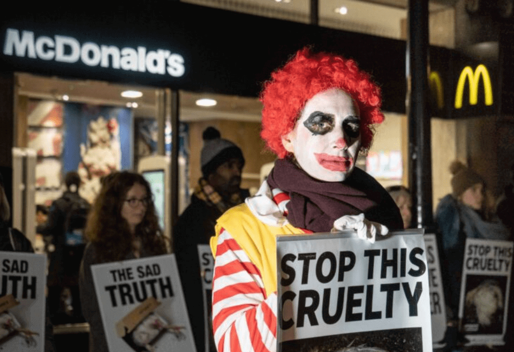 Протест против политики McDonald's