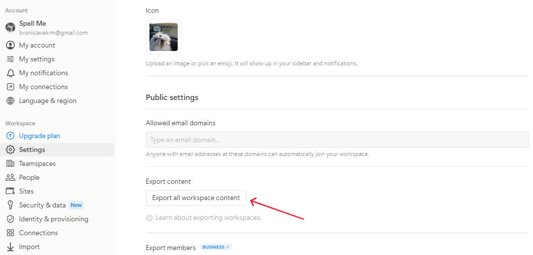 Пункт Export all workspace content