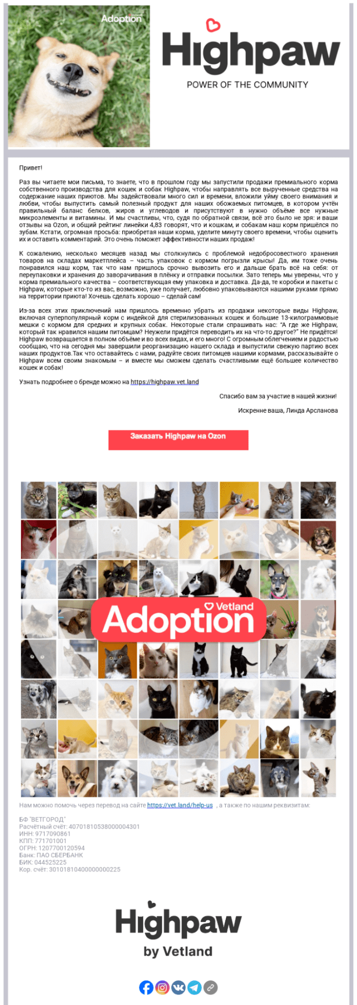 Пример рассылке о корме Highpaw фонда Vetland Adoption
