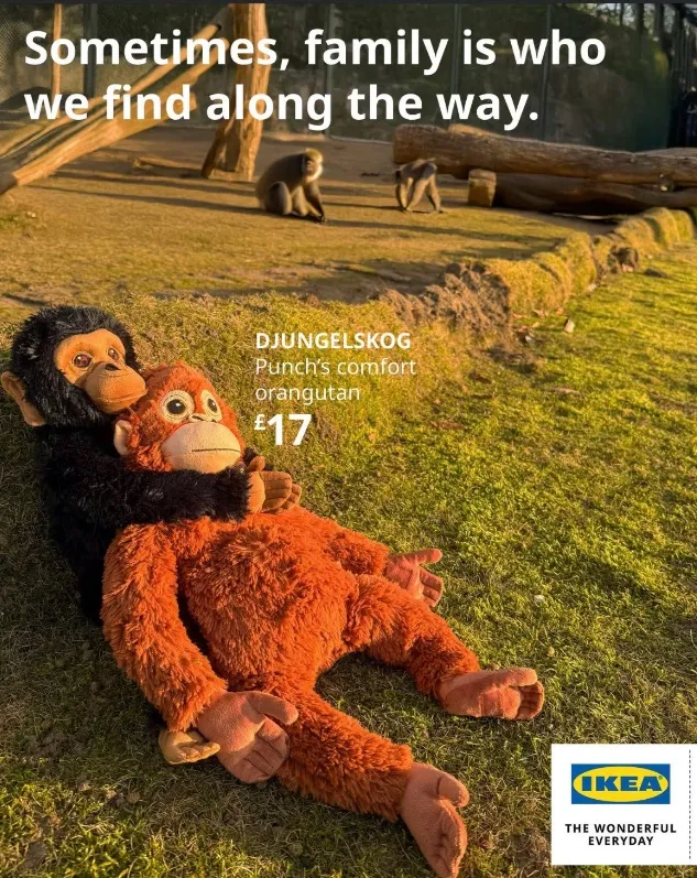 икеа реклама