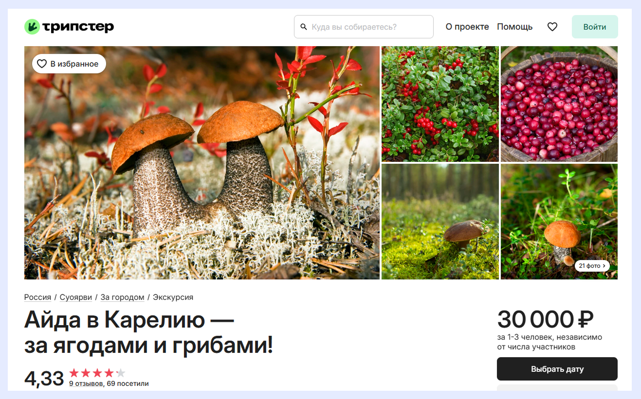 трипстер грибной тур