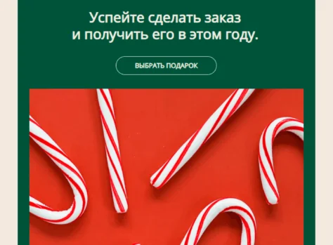 Шаблон email: Успейте сделать заказ и получить его в этом году - десктоп версия