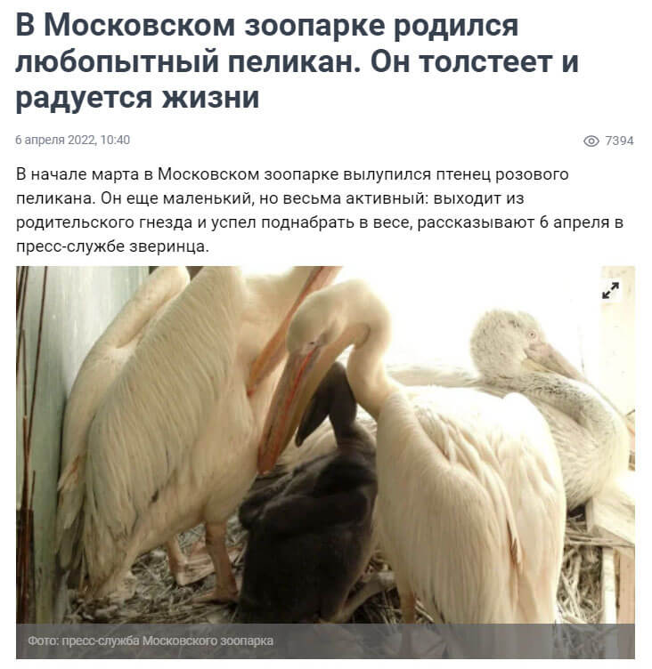 Новость Московского зоопарка