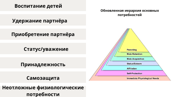 Контрольная работа по теме Потребность в принадлежности. Любовь и дружба