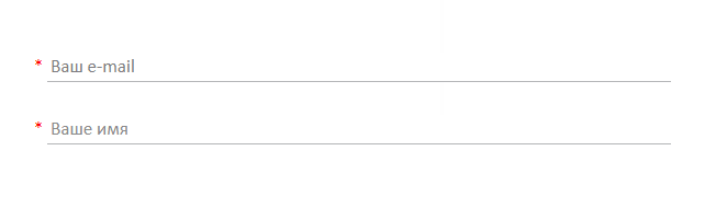 Поля для ввода email и имени
