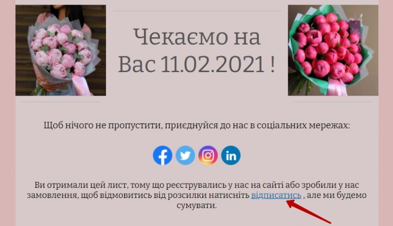 Приклад блоку відписки в футері