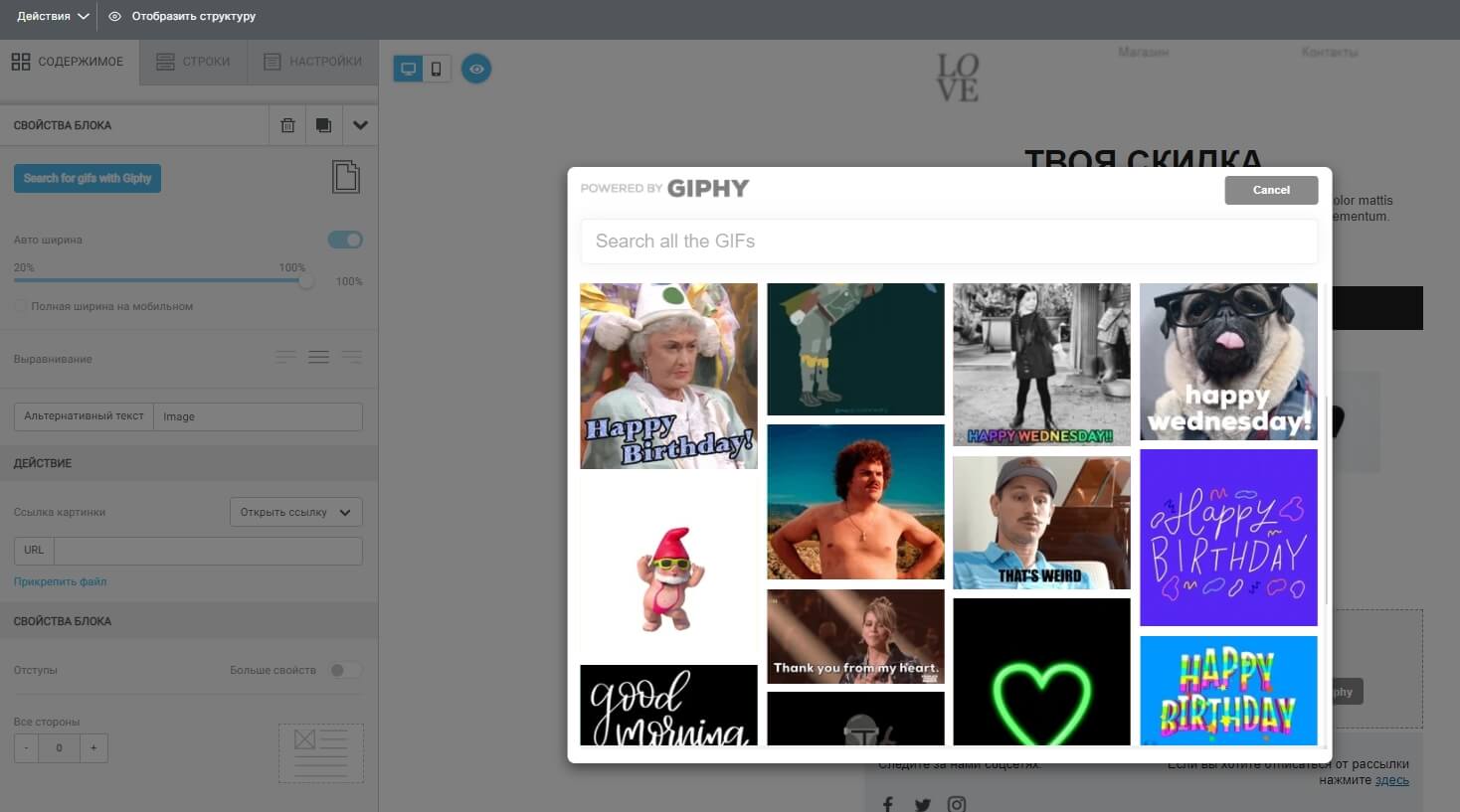 Выбор GIF-картинки