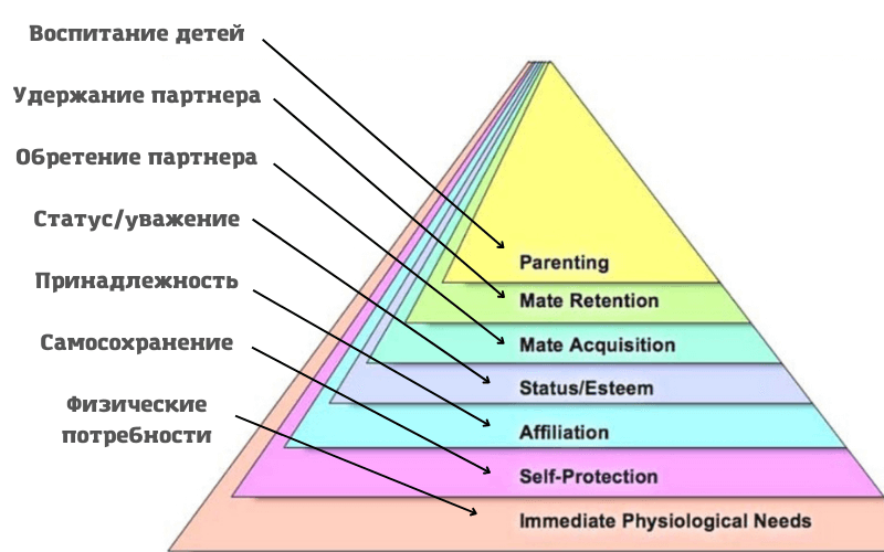 Обновленная пирамида потребностей
