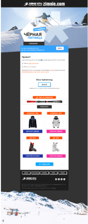 Скриншот по клиенту Zimnie.com