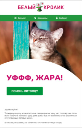Скриншот по клиенту Petsmart.ru