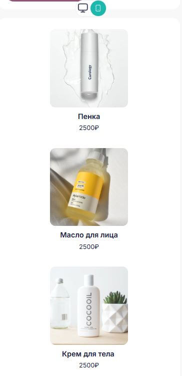 Пример отображения карточек товаров в мобильной версии.