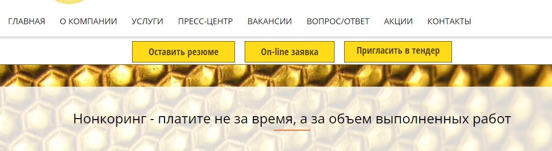 скриншот со страницы сайта компании, оказывающей услуги нонкоринга