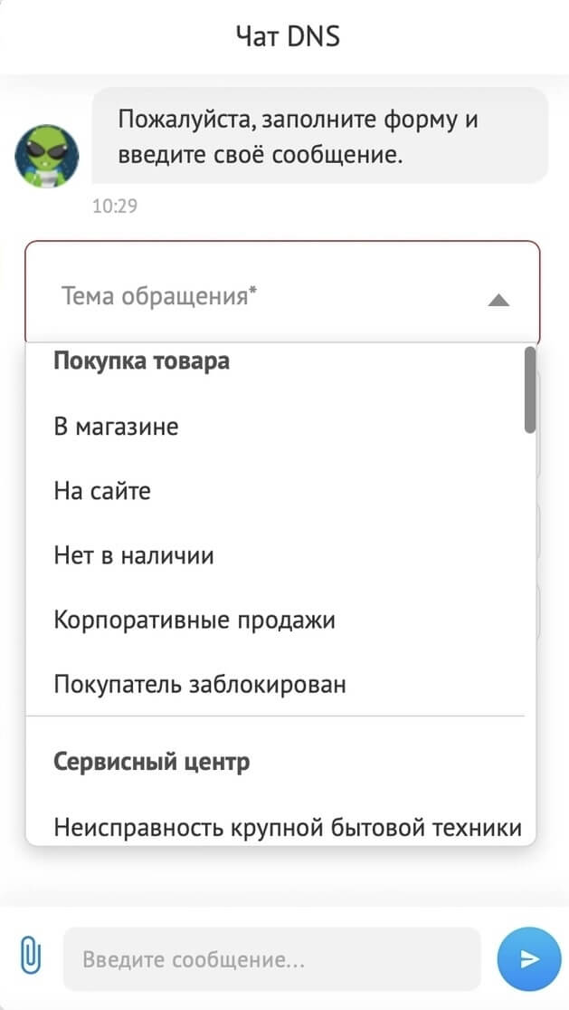 чат DNS