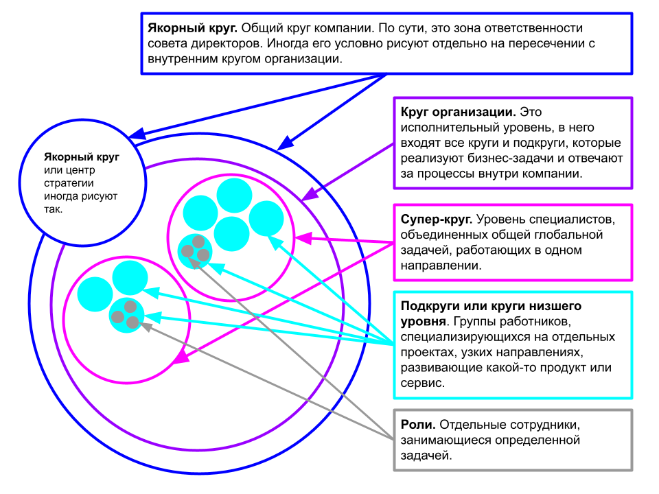 Структура холакратии представляет собой систему кругов и работает как единая нейросеть.