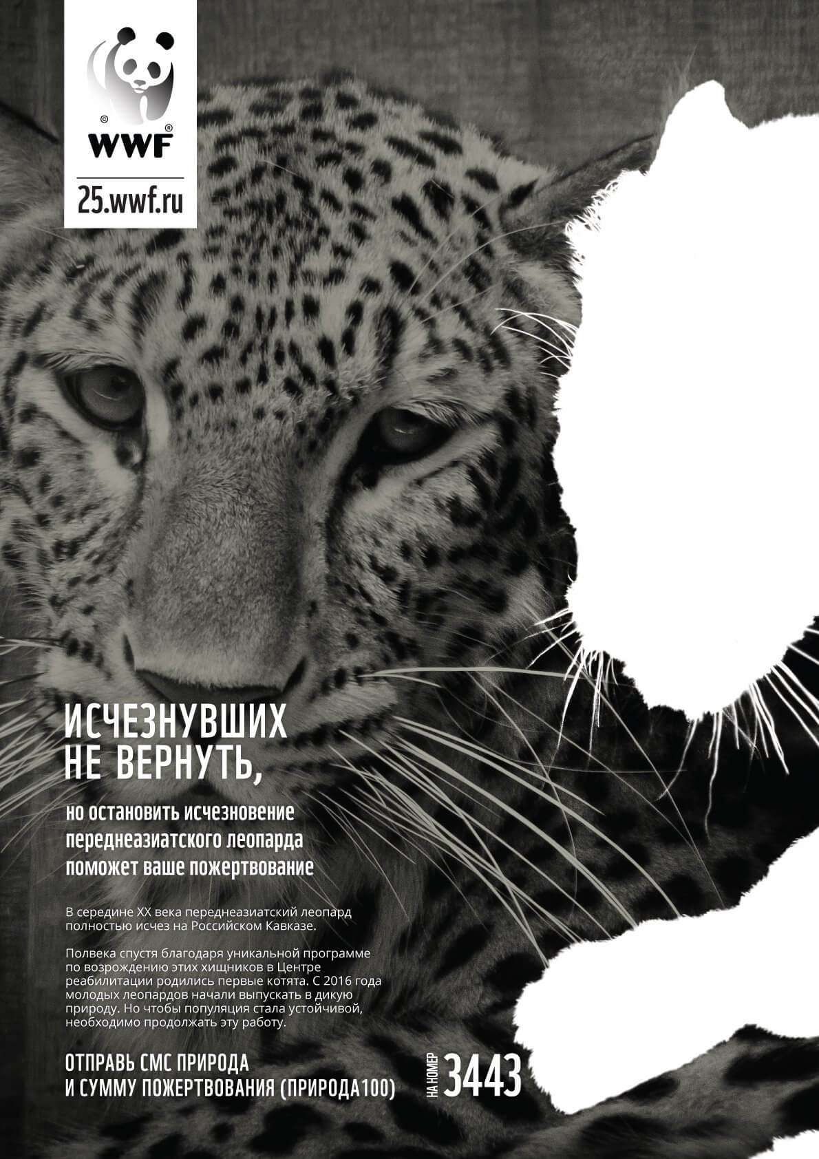 соцреклама WWF России