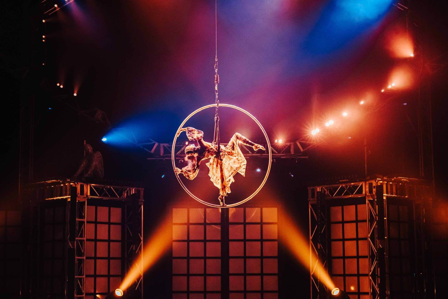Шоу Cirque Du Soleil