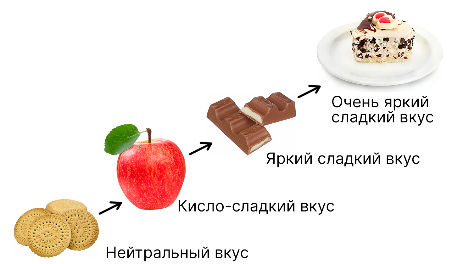 Порядок дегустации продуктов: сначала печенье Мария, потом яблоко, затем молочный шоколад и, наконец, торт